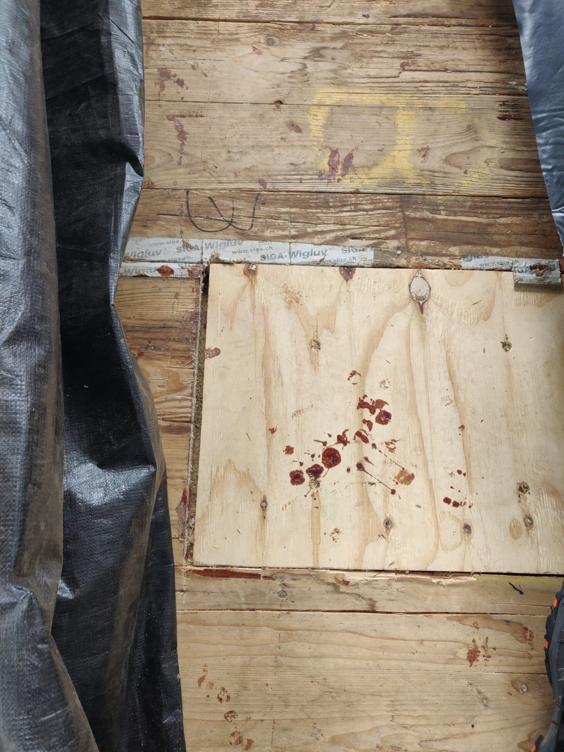 Why Flat Roofs and CLT Don’t Mix - Tamarind Engineering